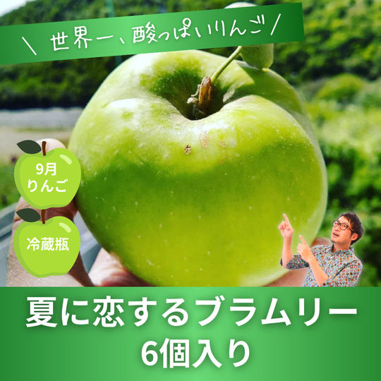 【世界一酸っぱいりんご】ブラムリー　6個入り