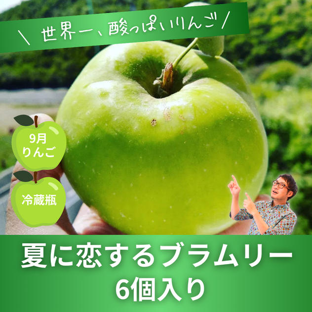 【世界一酸っぱいりんご】ブラムリー　6個入り
