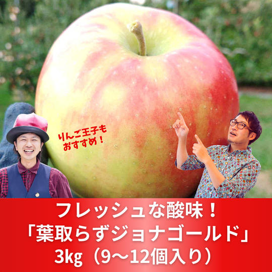 【単品】葉取らずジョナゴールド　3㎏（9～12個入り）