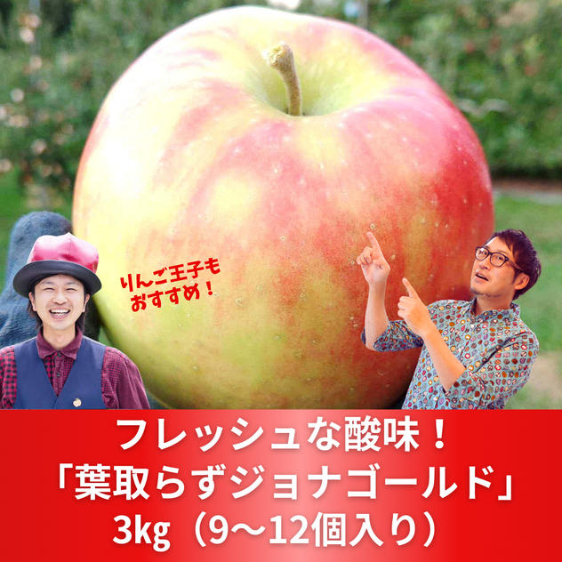 【単品】葉取らずジョナゴールド　3㎏（9～12個入り）