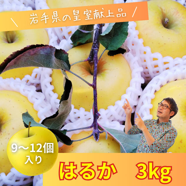 【岩手の皇室献上品りんご】「はるか」３㎏（9～12個入り）