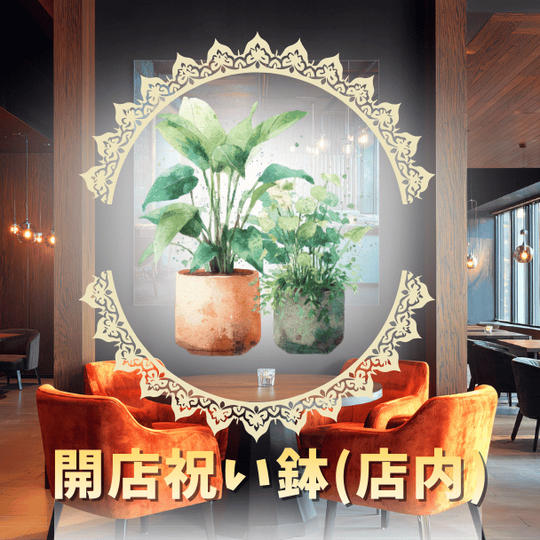 開店祝い鉢（店内）