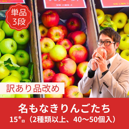 【訳あり】名もなきりんごたち　本気の15kg