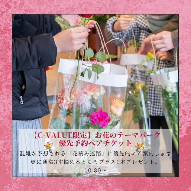 【C-VALUE限定】花摘み迷路優先ペアチケット／10:30～