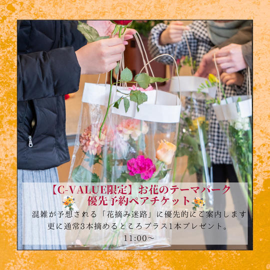 【C-VALUE限定】花摘み迷路優先ペアチケット／11:00～