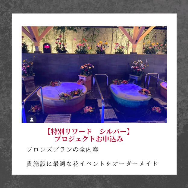 【特別リワード】シルバープラン