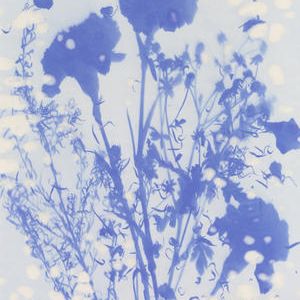 『贈花図-Sightama Grand bouquet 2020-』（A1サイズ）