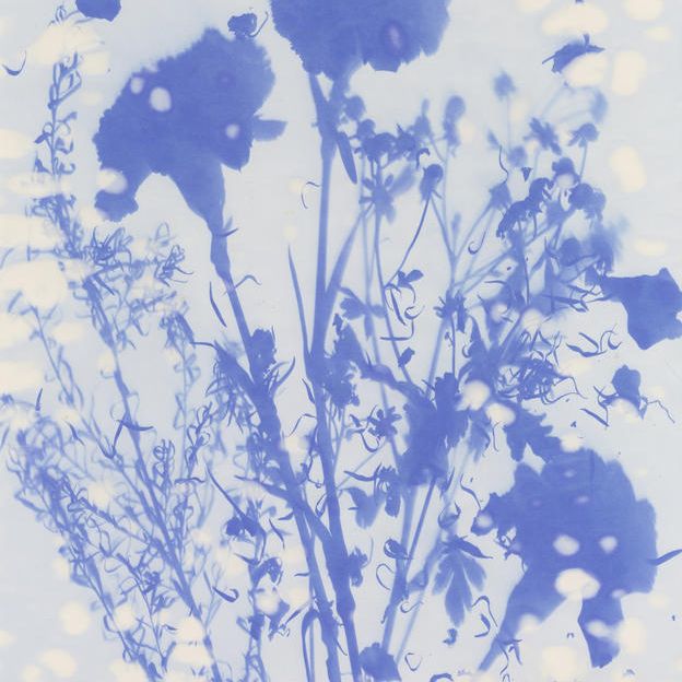 『贈花図-Sightama Grand bouquet 2020-』（A1サイズ）