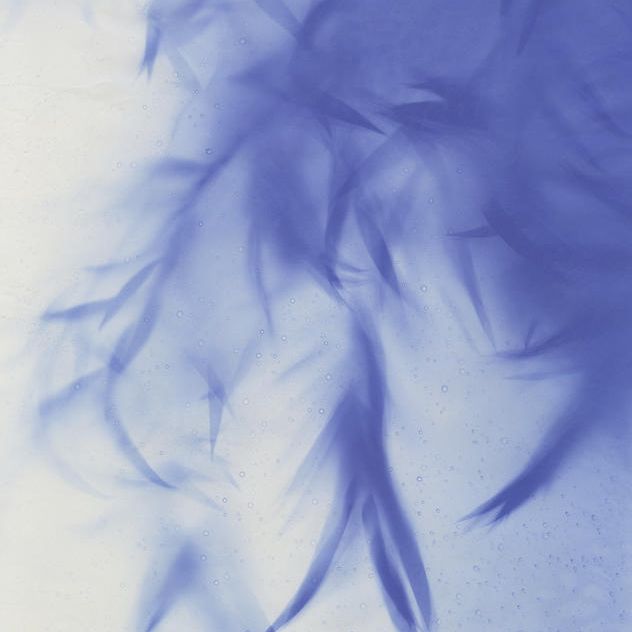 『8:15 8/6 2014 -呼吸する影 被爆樹木シダレヤナギ- 』（A3サイズ）