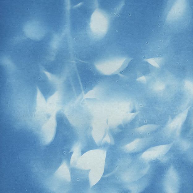 『11:02 8/9 2025 -呼吸する影 被爆樹木クスノキ- 』（A3サイズ）