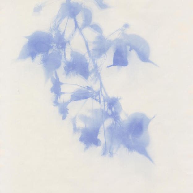 『桜風図-別所沼公園-』（A3サイズ）