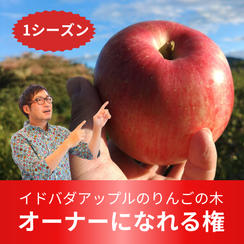 イドバダアップルのりんごの木　オーナーになれる権【1シーズン】