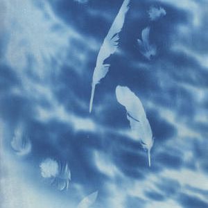 『現在の青図 -鳩の羽とオリーブの影-』（A3サイズ）