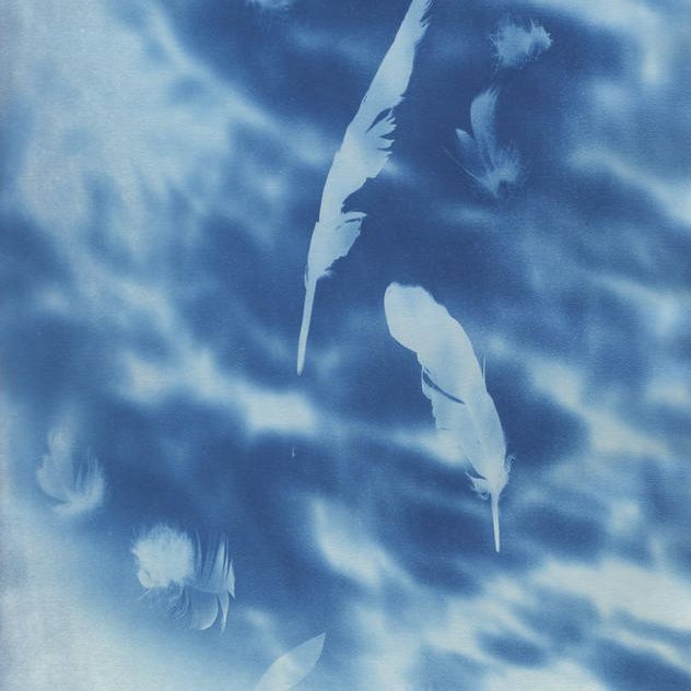 『現在の青図 -鳩の羽とオリーブの影-』（A3サイズ）