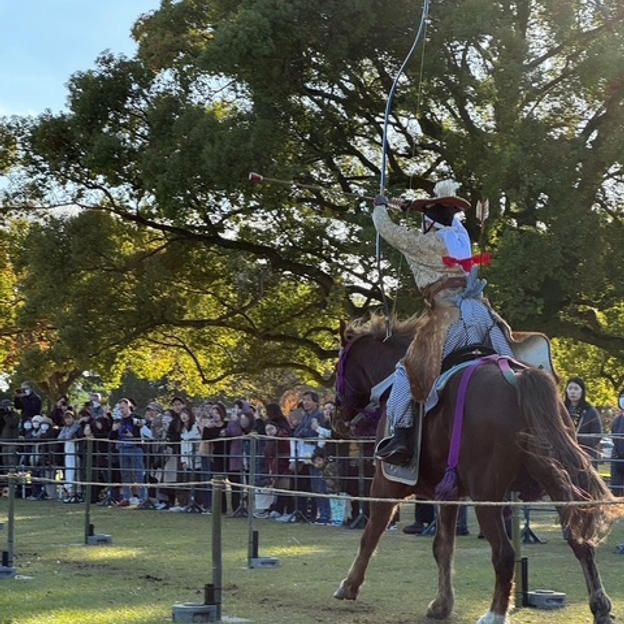 お礼メール、キーホルダー２種類、うちわ、ミニ五色的、動画DVD