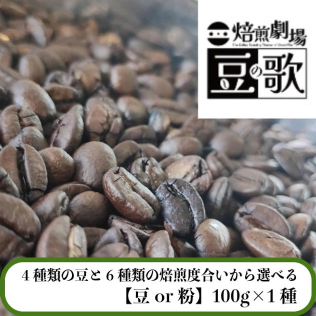 【4種類の豆と6種類の焙煎度合いから選べる】お好きな珈琲豆100g×1種