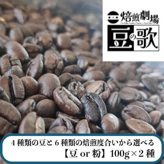 【4種類の豆と6種類の焙煎度合いから選べる】お好きな珈琲豆100g×2種