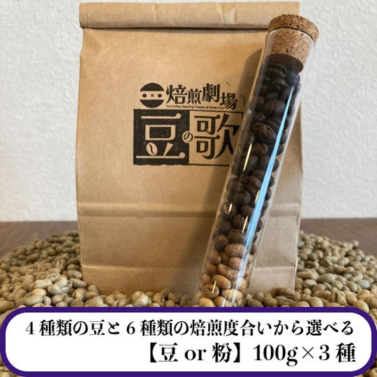 【4種類の豆と6種類の焙煎度合いから選べる】お好きな珈琲豆100g×3種