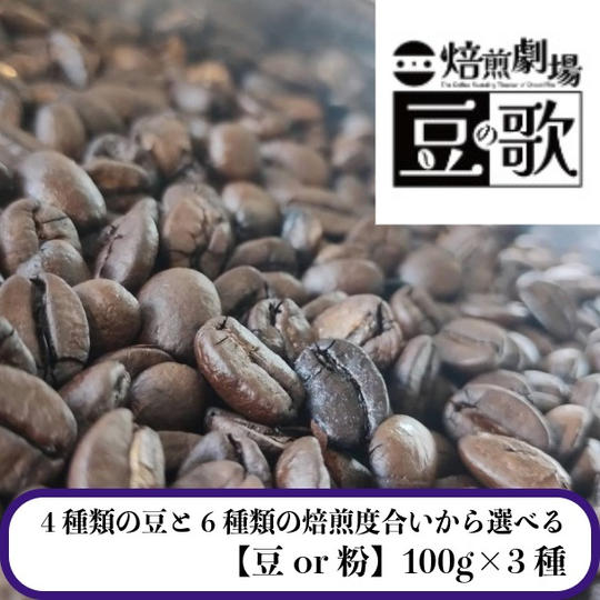 【4種類の豆と6種類の焙煎度合いから選べる】お好きな珈琲豆100g×3種