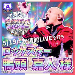 【鴨頭嘉人さま専用】ダイアモンドスポンサー