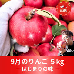 【定番】9月のりんご 5kg 【はじまりの味】（16～23個