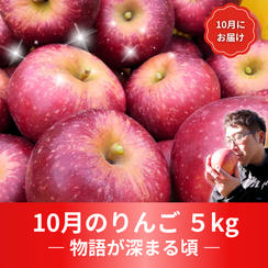 【定番】10月のりんご 5kg【物語が深まる頃】（14～20個）