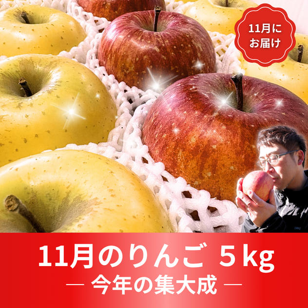 【定番】11月のりんご 5kg【今年の集大成】（14～18個）