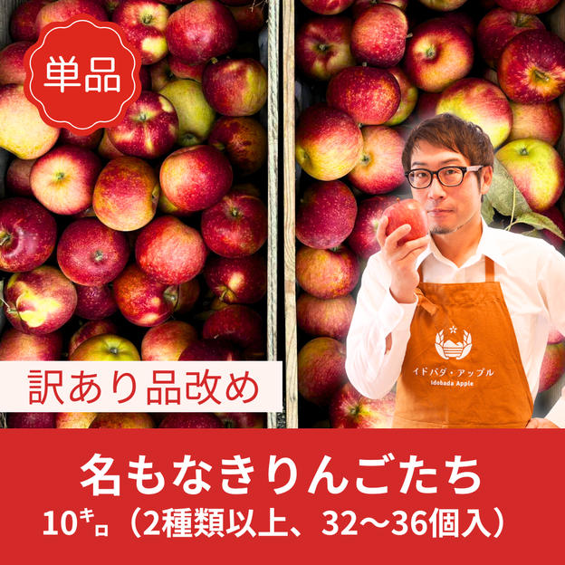 【訳あり】名もなきりんごたち　たっぷり10kg