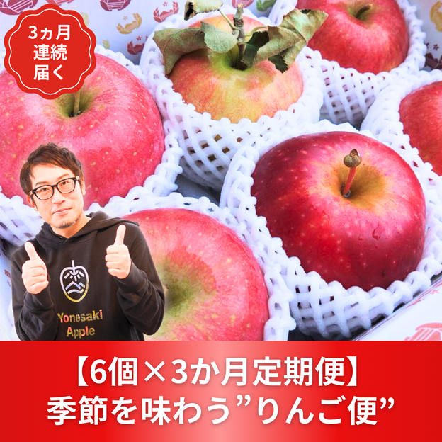 【6個×3か月定期便】 季節を味わう”りんご便”