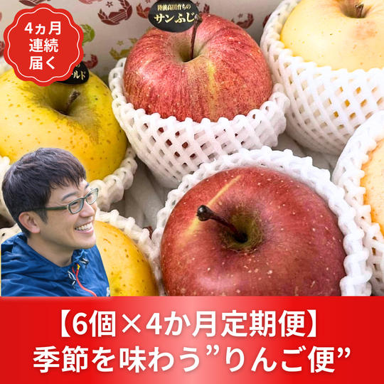 【6個×「4か月」定期便】 季節を味わう”りんご便”