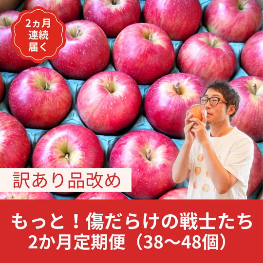 【2か月定期便】傷だらけの戦士たち（訳ありりんご）10kg
