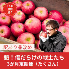 【3か月定期便】傷だらけの戦士たち（訳ありりんご）10kg
