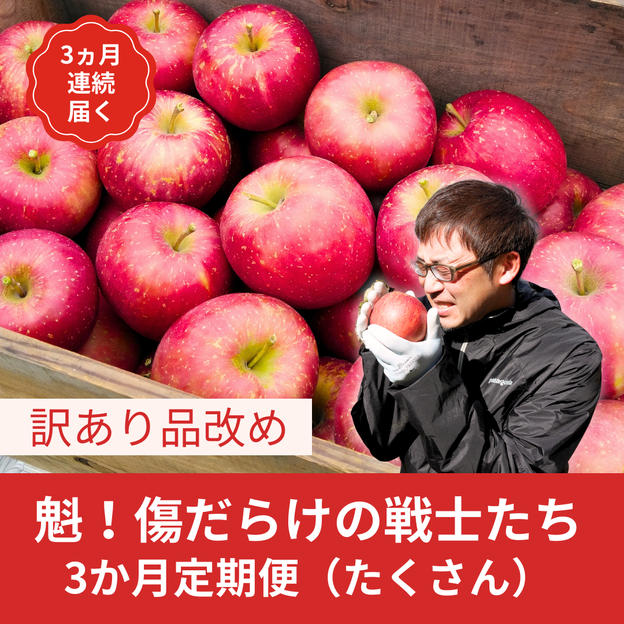 【3か月定期便】傷だらけの戦士たち（訳ありりんご）10kg
