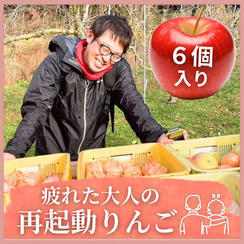 疲れた大人の再起動りんご　6個入　