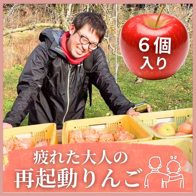 疲れた大人の再起動りんご　6個入　