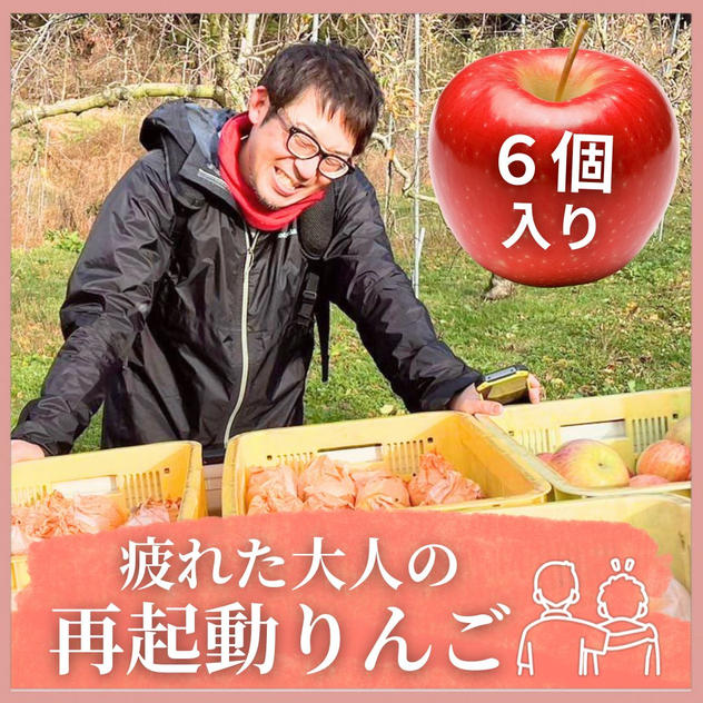 疲れた大人の再起動りんご　6個入　