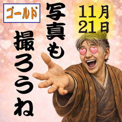 11月21日(土)　記念撮影付きゴールドチケット(１枚) (１列〜３列)