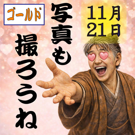 11月21日(土)　記念撮影付きゴールドチケット(１枚) (１列〜３列)