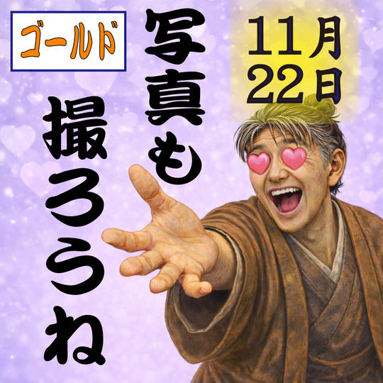 11月22日(日)　記念撮影付きゴールドチケット(１枚) (１列〜３列)