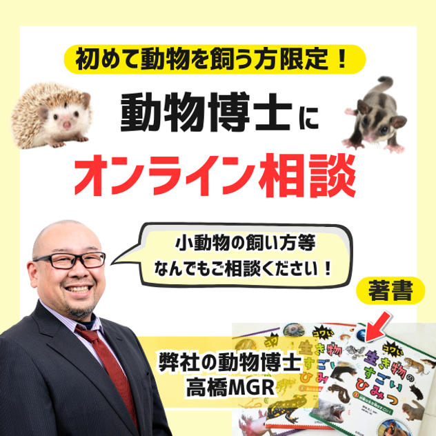 【初めて生き物を飼う方限定】動物博士に相談できるオンライン相談（30分）
