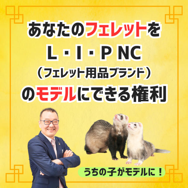 あなたのフェレットをフェレット用品ブランドL･I･Pのモデルにします！