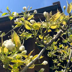 お気持ちの支援　5,000円