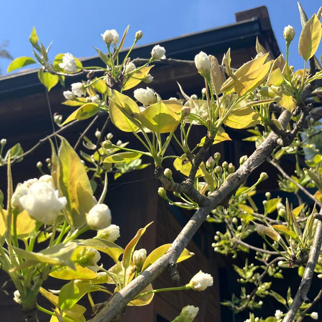 お気持ちの支援　5,000円