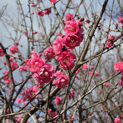 お気持ちの支援　10,000円