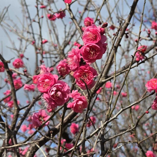 お気持ちの支援　10,000円