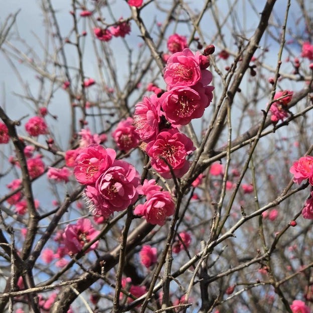 お気持ちの支援　10,000円
