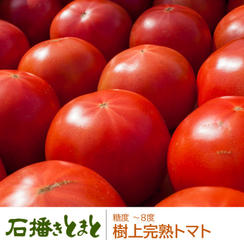 樹上完熟トマト単品