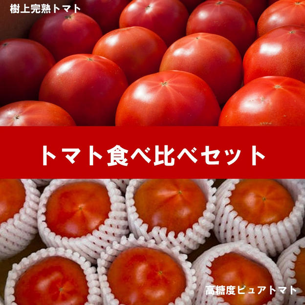 高糖度ピュアトマト＆樹上完熟トマト食べ比べセット
