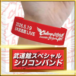 武道館LIVEサポーターバンド