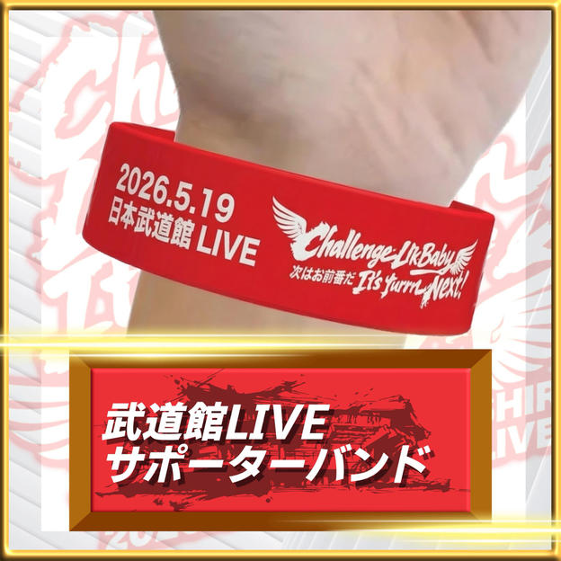 武道館LIVEサポーターバンド